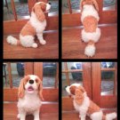 Mellissa & Doug Cavalier King Charles Spaniel
