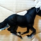 Blue Ribbon Horse Black