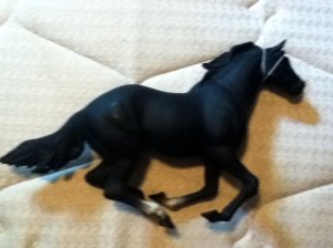 Blue Ribbon Horse Black