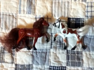 Kid Kore Mini Horses
