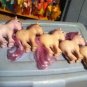 My Little Pony Blossom