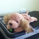 TY Beanie Baby Spunky Dog