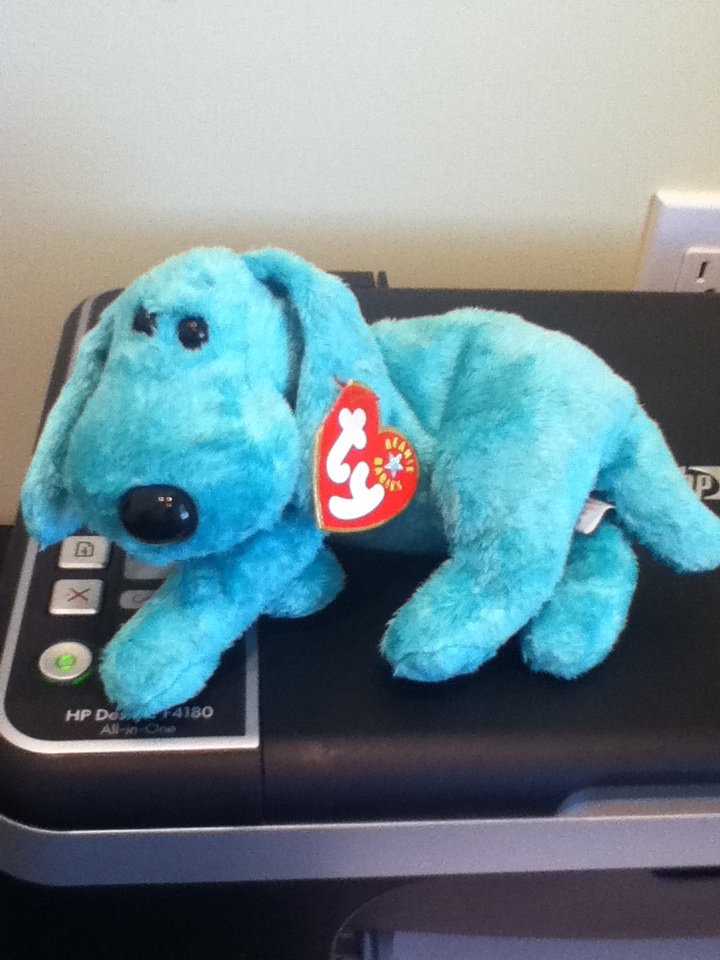 diddley beanie baby