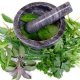 Botanical Herbs