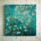 Almond Branches in Bloom, Van Gogh