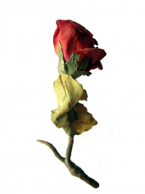 Roses Are Red: Large Vintage-inspired Rose Brooch Pin &acirc;��CLEARANCE&acirc;��