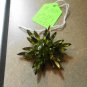 Vintage Brooch Peridot Green Rhinestones, Signed Judy Lee, Costume Jewelry