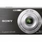 Sony Cyber-Shot DSC-W530 14.1 MP Digital