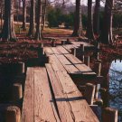 Maymont Wooden Bridge