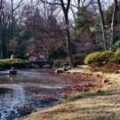Lake Side