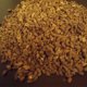 Seeds