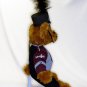 Conestoga HS Marching Band Uniform Teddy Bear