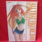 ALL THAT FIGURE 2001' Anime PVC Garage Kit Photo Book /Hobby Japan