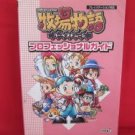 Harvest Moon professional guide book /Playstation, PS1