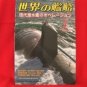 'Ships Of The World' #644 07/2005 Japanese warsh?ip NAVY magazine