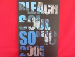 BLEACH 'SOUL SONIC 2005 SUMMER' guide art book