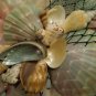 Sand Dollar Wall Plaque (multi color/dark green,sand,yellow)