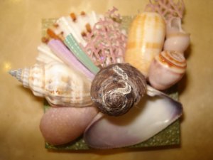 Seashell Magnet Large center shell