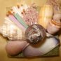 Seashell Magnet Large center shell