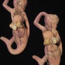 Mermaids Set Wall Plaques Pink/Coral color