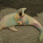 Dolphin Wall Plaque Multi Color pink/teal/cream