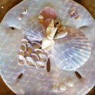 Sand Dollar Plaque light purple/blue pastel