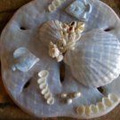 Sand Dollar Plaque Light Blue with Coral