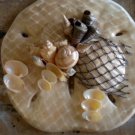 Sand Dollar Wall Plaque Tan