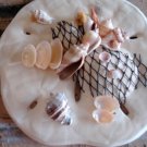 Sand Dollar Wall Plaque Cream Color w/Subtle tan