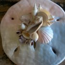 Sand Dollar Wall Plaque Multi Color green/blue