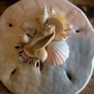 Sand Dollar Plaque Multi Color Yellow/Blue