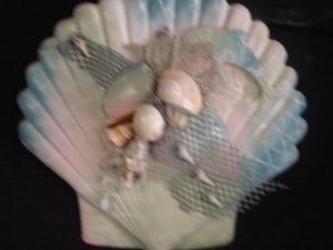 Shell Plaque Multi Color Pastel