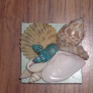 Magnet Teal background w/Green shells