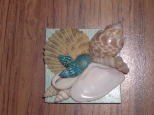 Magnet Teal background w/Green shells