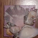 Magnet Pink