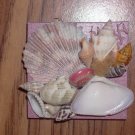 Magnet Pink with Pink Middle Shell