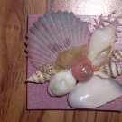 Magnet Pink with pink accent shells and seafan