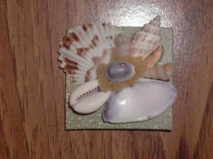 Magnet Green Background with Natural shells Purple Center shell