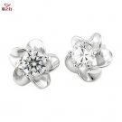 silver earrings