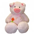 Pink Piggy