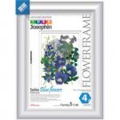 Make Your Own Herbarium Kit: Blue Flowers
