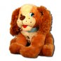 PUPPY WITH SHAGGY EARS