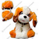 Affectionate St. Bernard