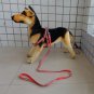 Reflective Florescent Head Collar Dog Rope Standard Dog Leash Dog Harness FLS001