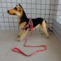Reflective Florescent Head Collar Dog Rope Standard Dog Leash Dog Harness FLS001