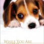 Bradley Joseph DVD FOR DOGS - WHILE YOU ARE GONE - DOG CARE  VIDEO NEW
