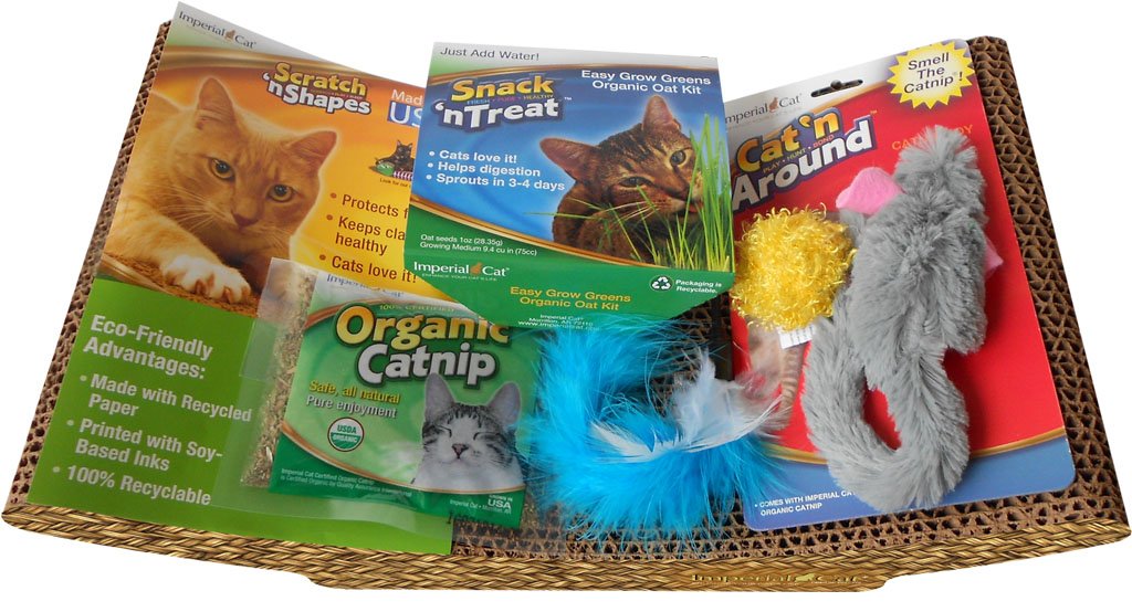 HAPPY KITTEN CAT STARTER KIT with SCRATCHING PAD POST, CAT NIP, TOYS, OAT GRASS NEW