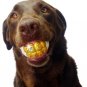 Humunga Bling Funny gold Teeth Rubber Pet Dog Toy Fetch Ball NEW!