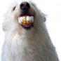 Humunga Bling Funny gold Teeth Rubber Pet Dog Toy Fetch Ball NEW!