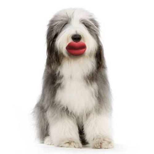 Humunga Lips Funny Rubber Pet Dog Toy Fetch Ball Small Mini